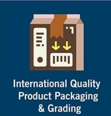 international Quality Product Packaging & Grading Koncept Solution